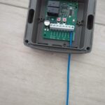 IMG_20241208_113154_230